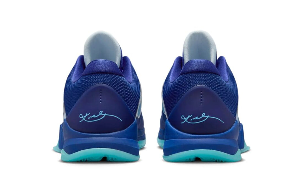 Kobe 5 Protro X-Ray